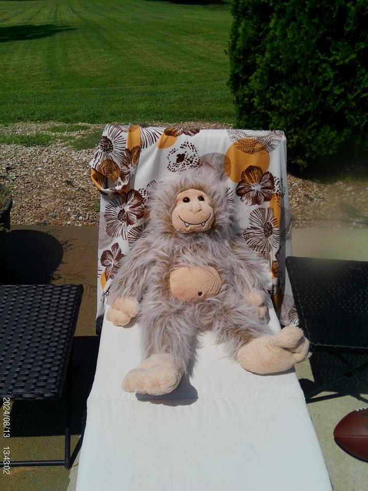Apes Meetup 2026 photo 9